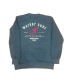 Sudadera - Watsay cuello redondo  rayo flock navy