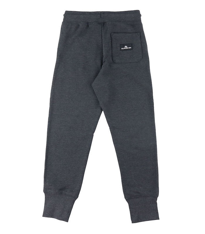 Pantalón de chándal Quiksilver Easy day grey