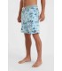 Bañador - Oneill Hyperfrak mysto scallop 19 blue