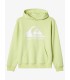 Sudadera Quiksilver junior Big logo lima