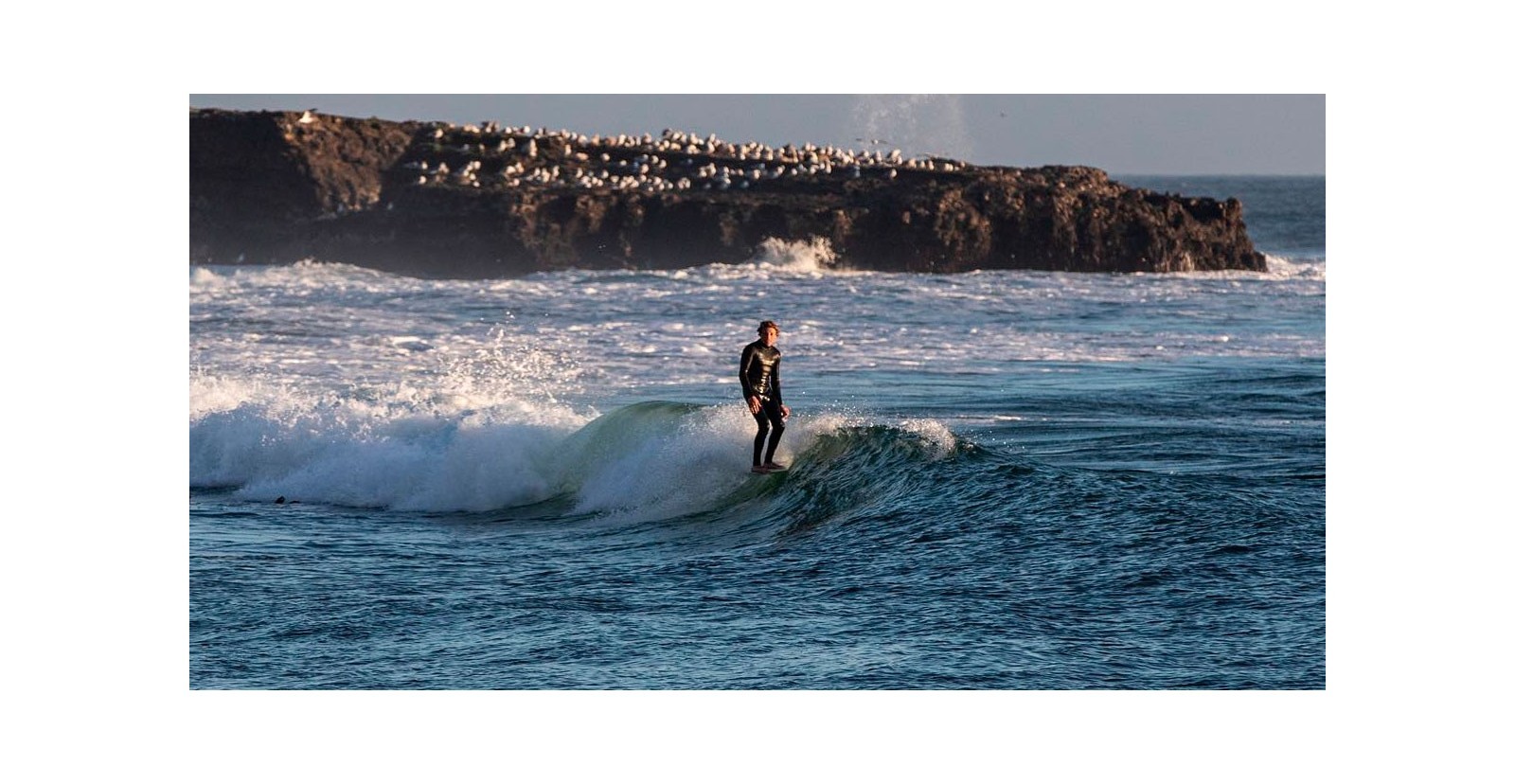 ¿Por qué comprar un Traje de Neopreno de Surf Vissla? 